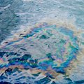 oil_slick_1.jpg
