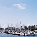 harbour_1.jpg