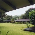 gaugin_museum_4.jpg