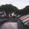 papeete_1.jpg