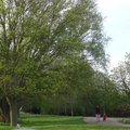P1040010.jpg