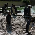 P1040366.jpg