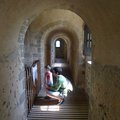 P1040747.jpg