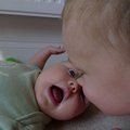 P1050072.jpg