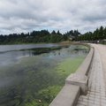 P7230619.jpg