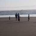 P7230678.jpg