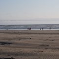 P7230704.jpg