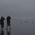 P7261025.jpg