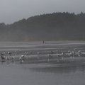 P7261026.jpg