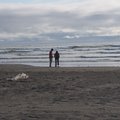 P7271187.jpg