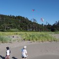 P7281603.jpg