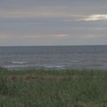P7291858.jpg