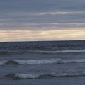 P7291870.jpg