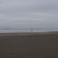 P7301882.jpg
