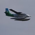P7310040.jpg
