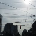 P8010555.jpg