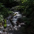 P8010600.jpg