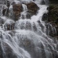 P8010650.jpg