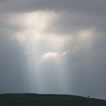 P5181139.jpg