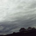 Eliminator_4m_InFlightBridleVisible.jpg
