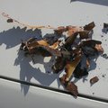 DSCN5631.JPG