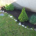4_flowerbed_after.jpg