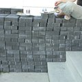 DSCN9750.jpg