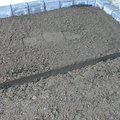 DSCN9808.JPG