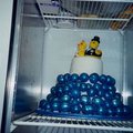 cakepre2.jpg